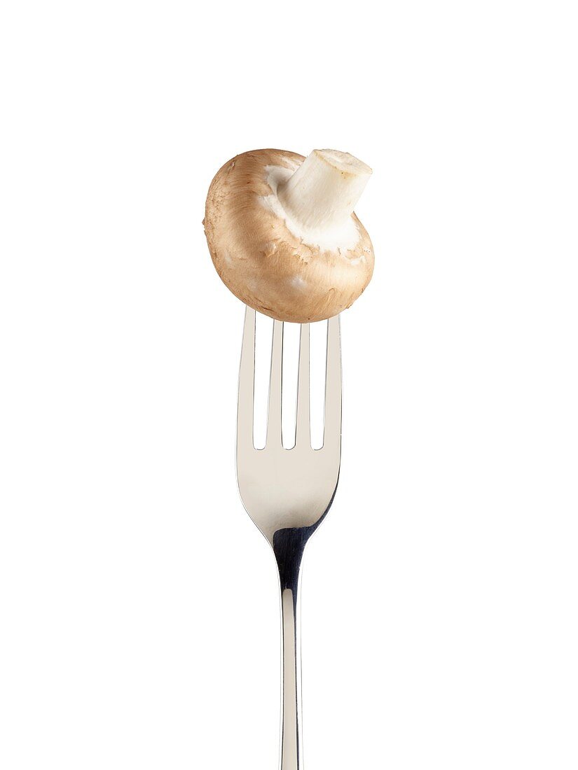 Mushroom on a fork
