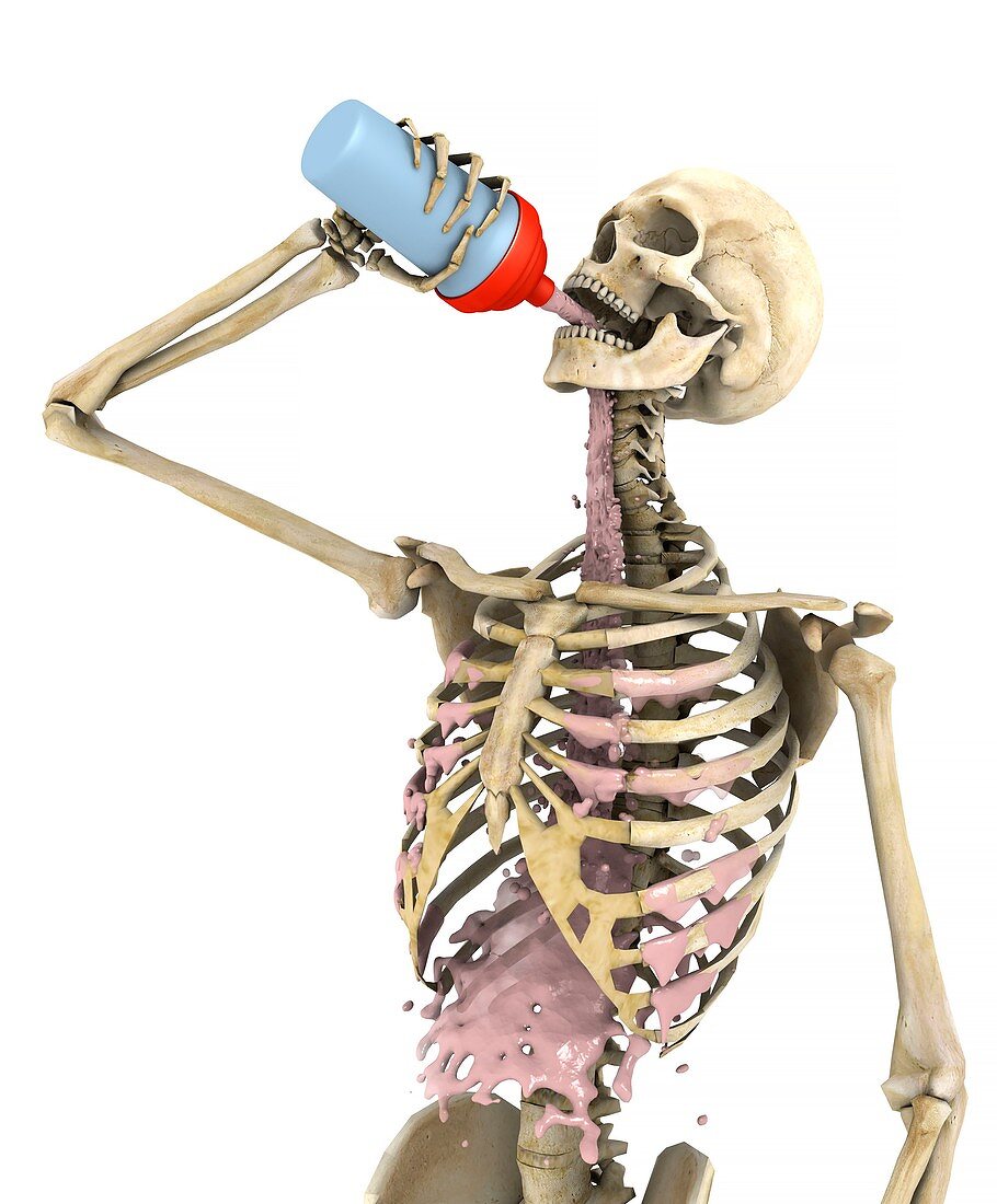 Skeleton drinking protein drink, illustration