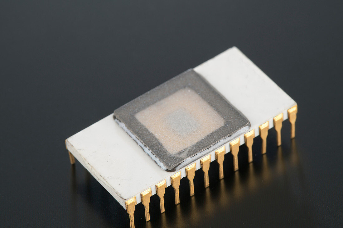Electronic chip