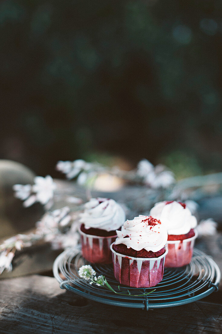 Red beet cupcakes