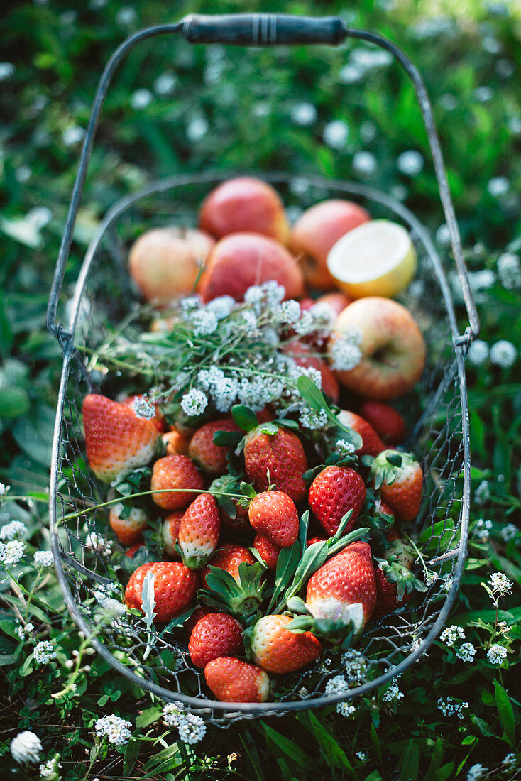 Basket full of sweet strawberries and ripe apples standing on green grass