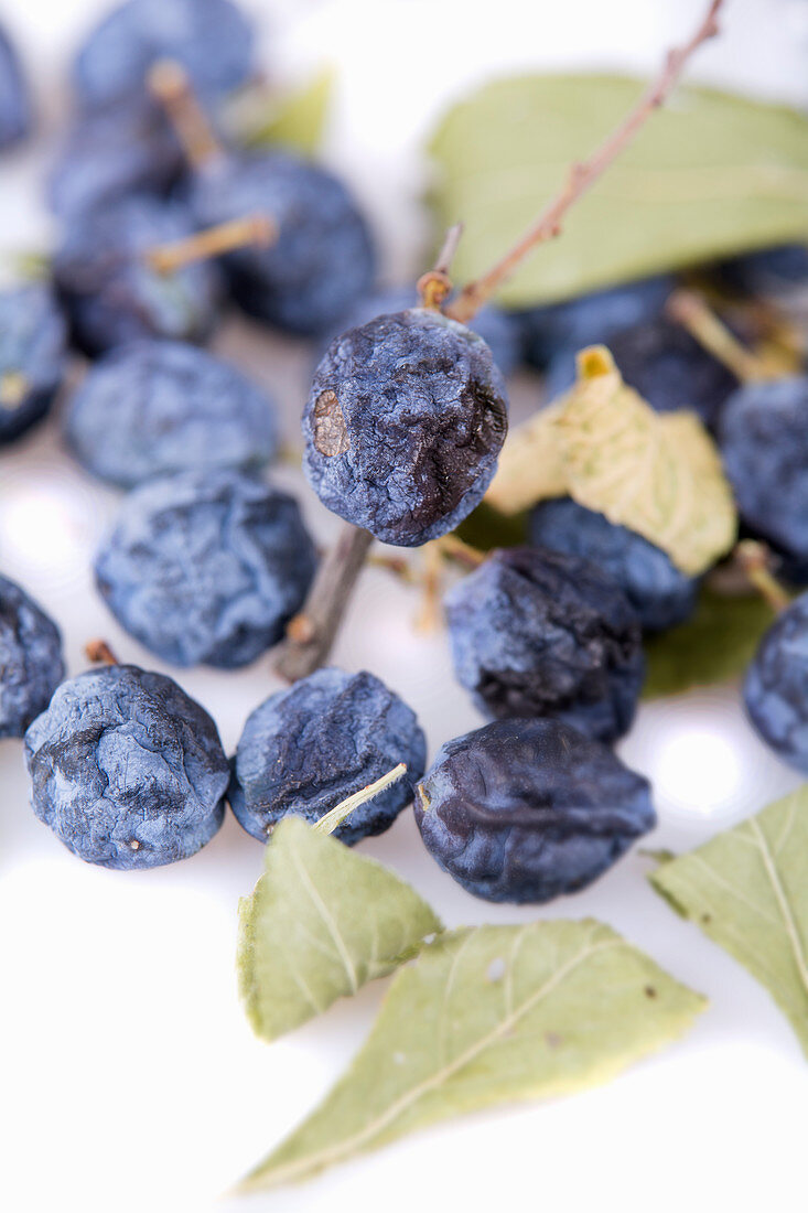 Dried sloes (close-up)