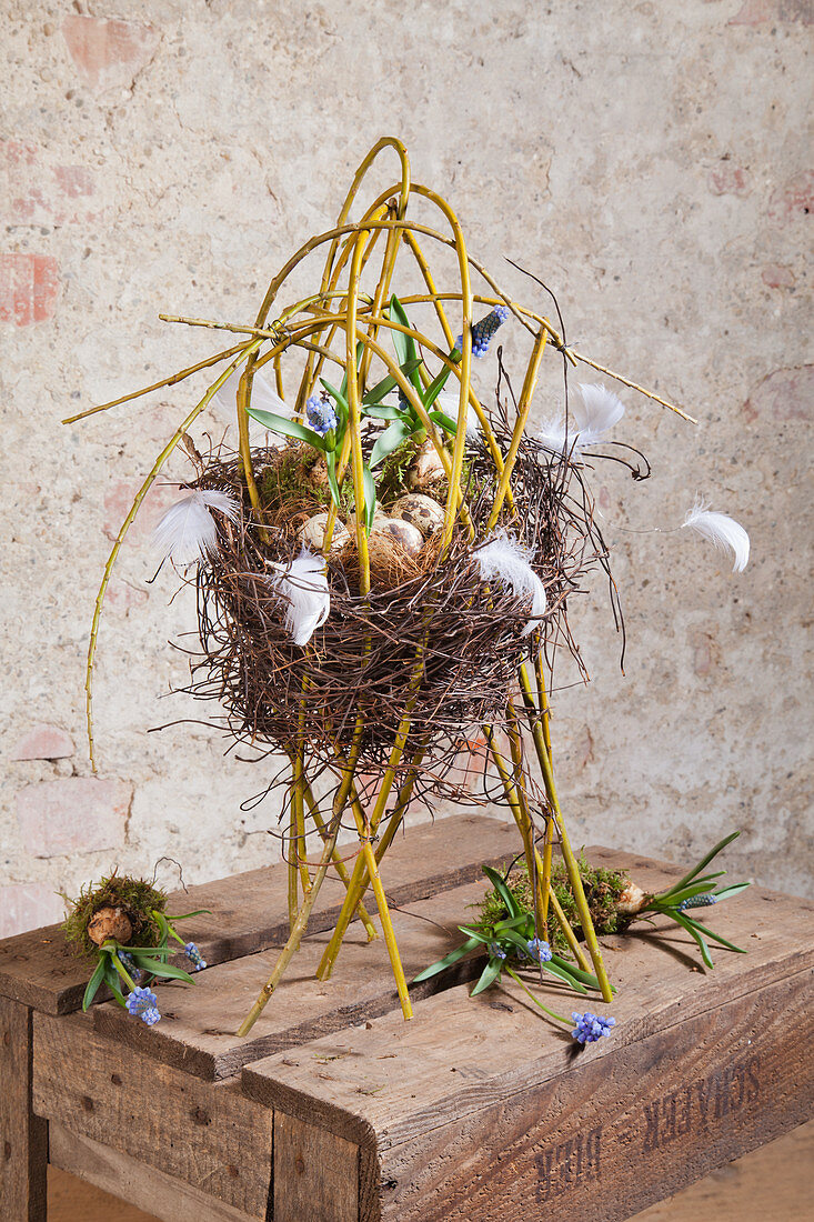 Quail eggs and white feathers in nest made from maidenhair vine tendrils