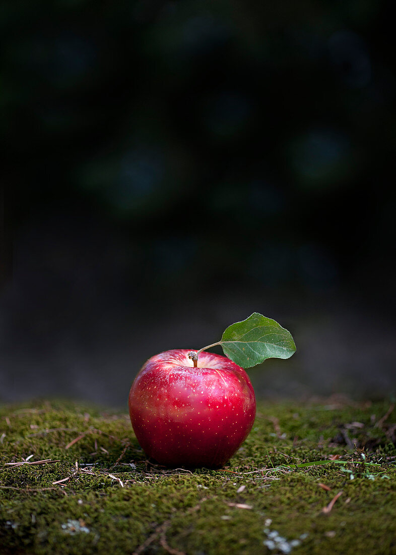 Ein roter Apfel auf Moosboden
