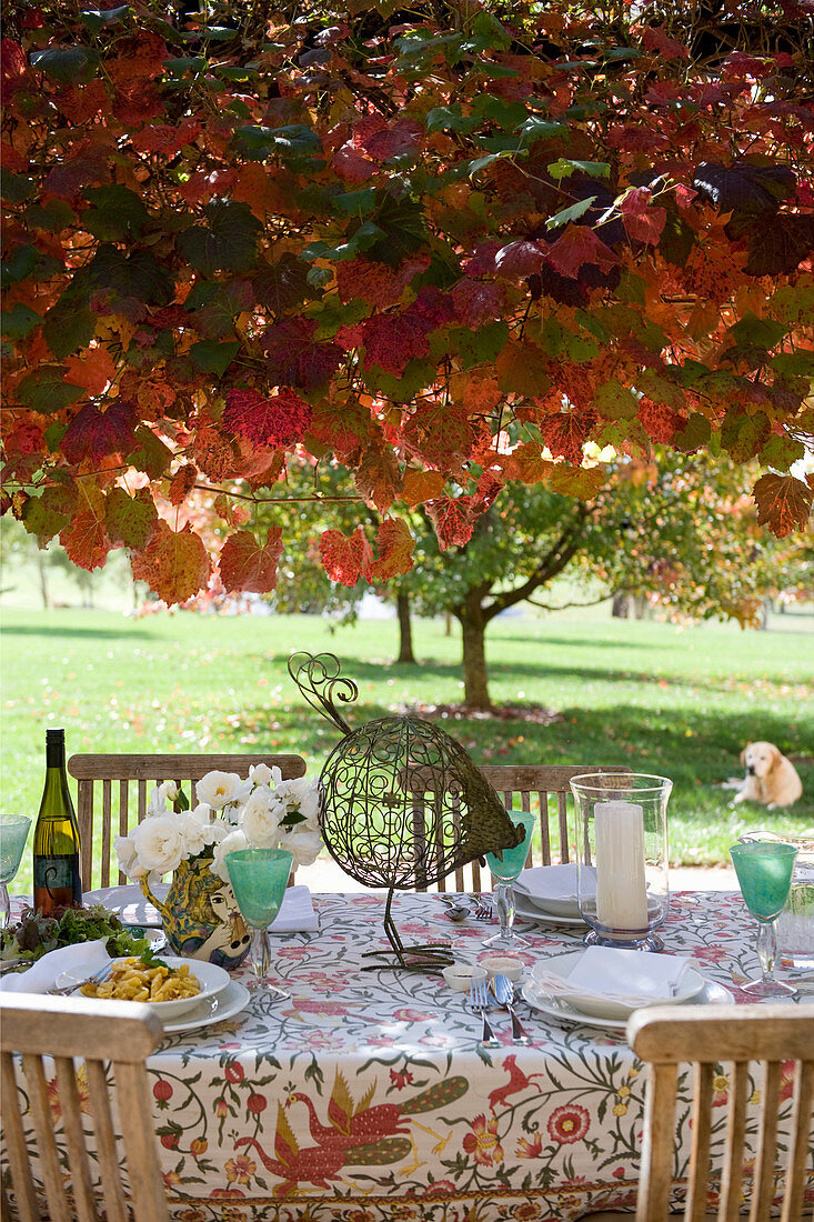 Rustic, set table below tree in autumn colours in garden