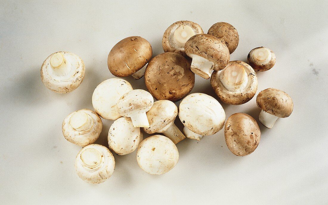 White and Brown Button Mushrooms