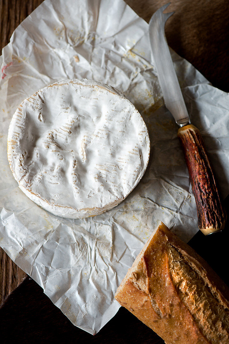 A whole Camembert cheese from above on its wrapper with a horn handled cheese knife and baguette