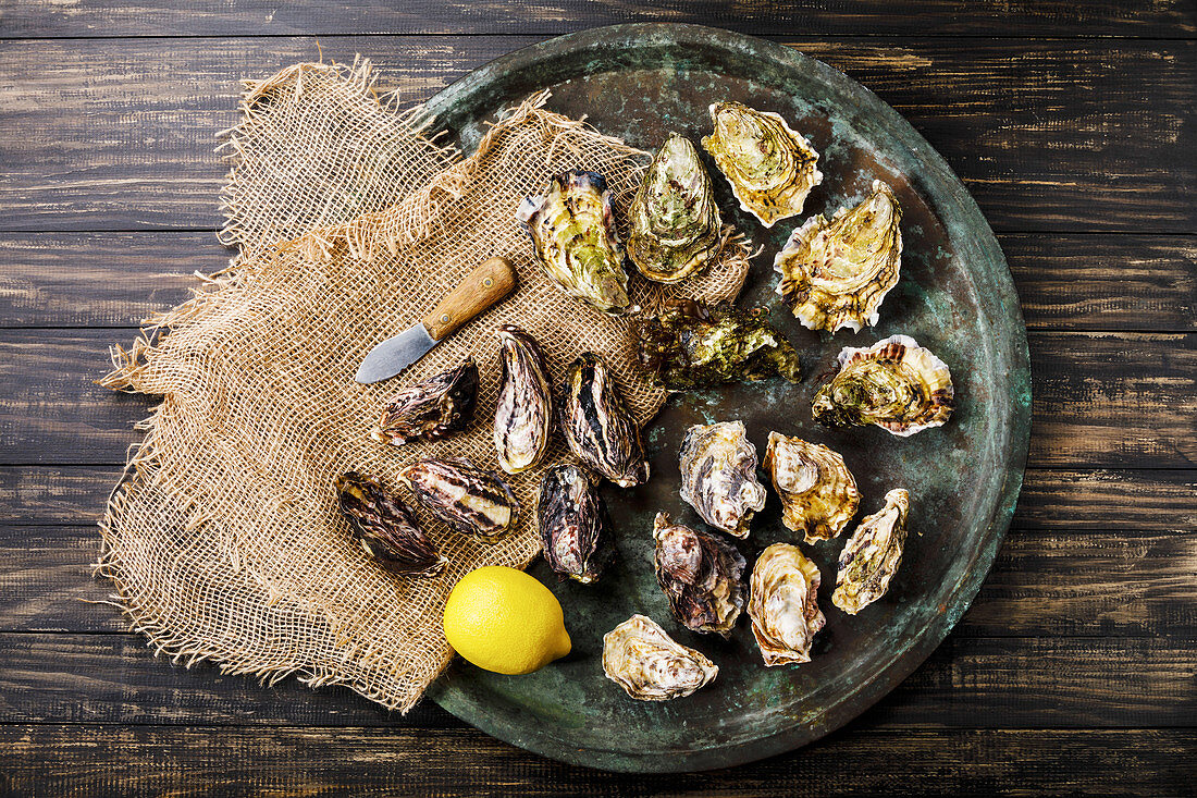 Assorted fresh Oysters, knife and lemon in tray on dark background