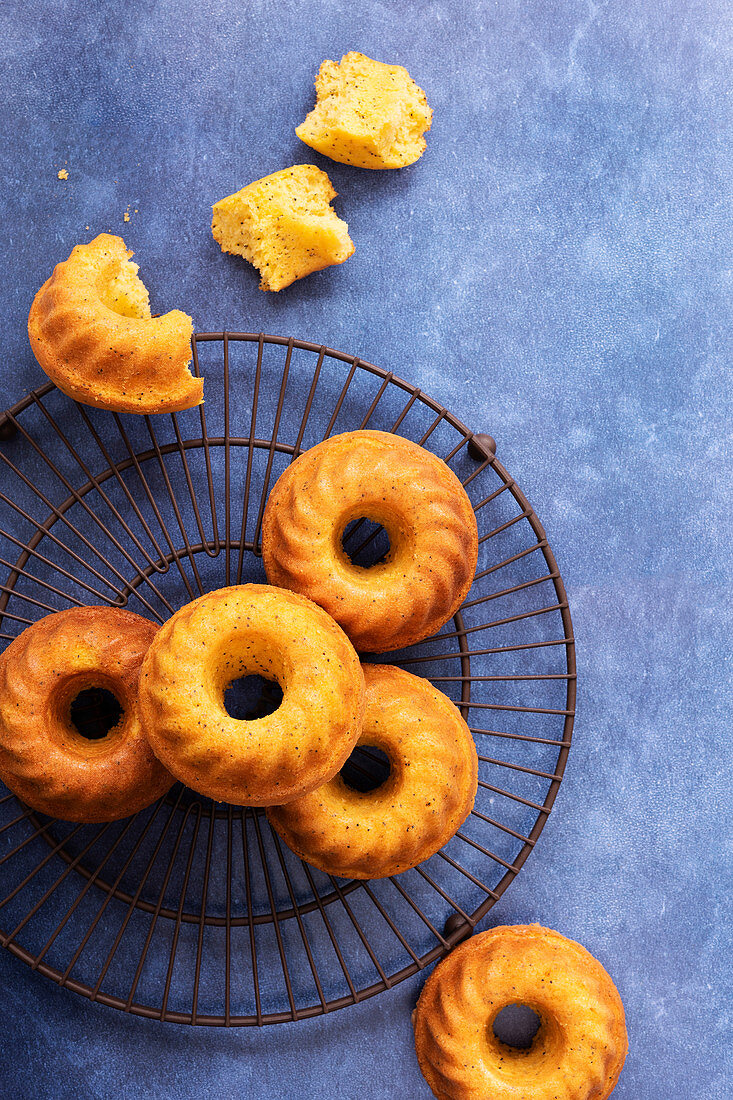 Freshly baked small round orange poppy seed cakes with one broken cake