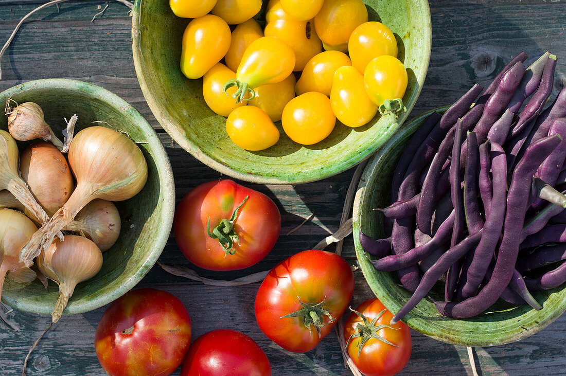 Freshly harvested tomatoes, onions and purple beans in ceramic bowls