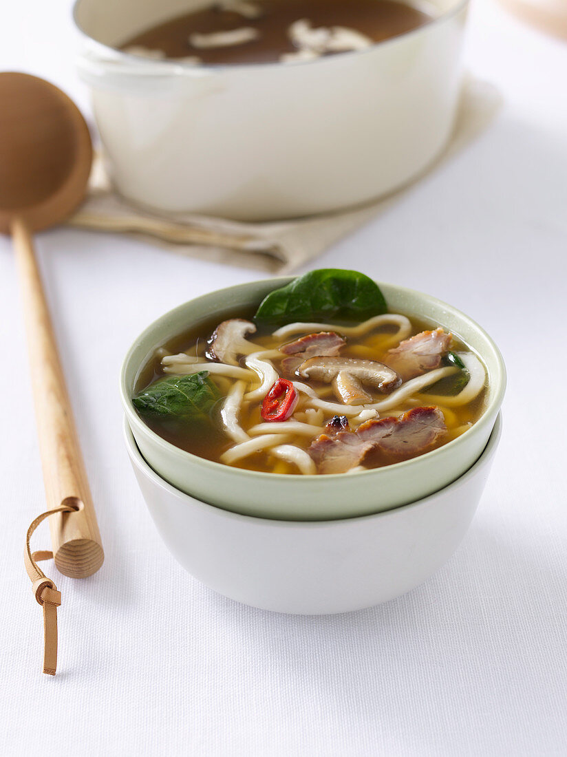 Asian Barbecued Pork and Udon Soup