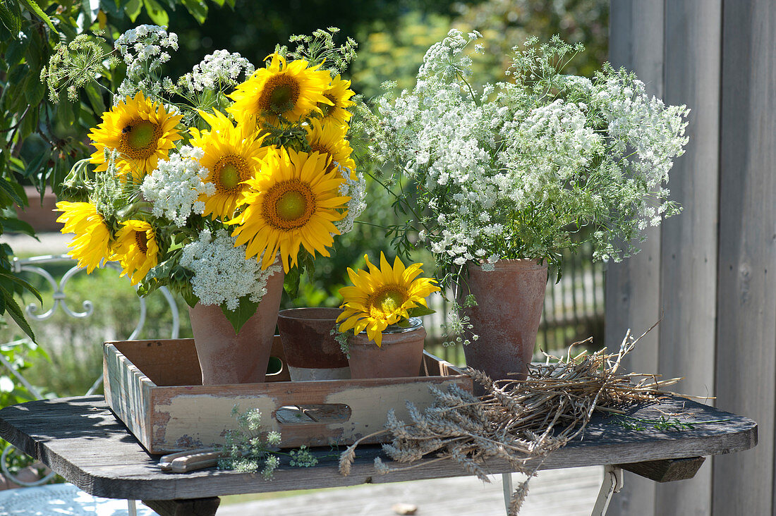 Bouquets of sunflowers and cumin