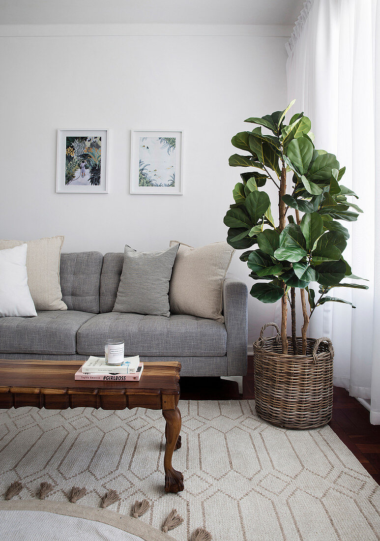 Graues Polstersofa mit Kissen neben Zimmerpflanze, Couchtisch aus Holz im Wohnzimmer