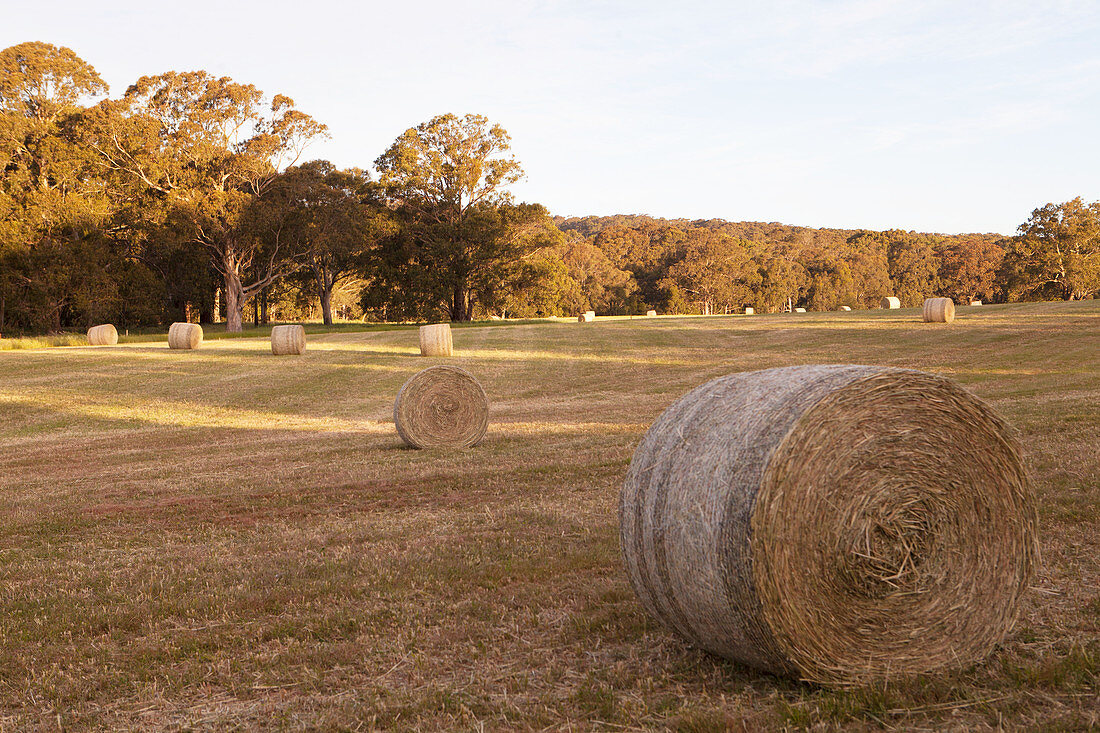 Hay bales in a landscaped garden