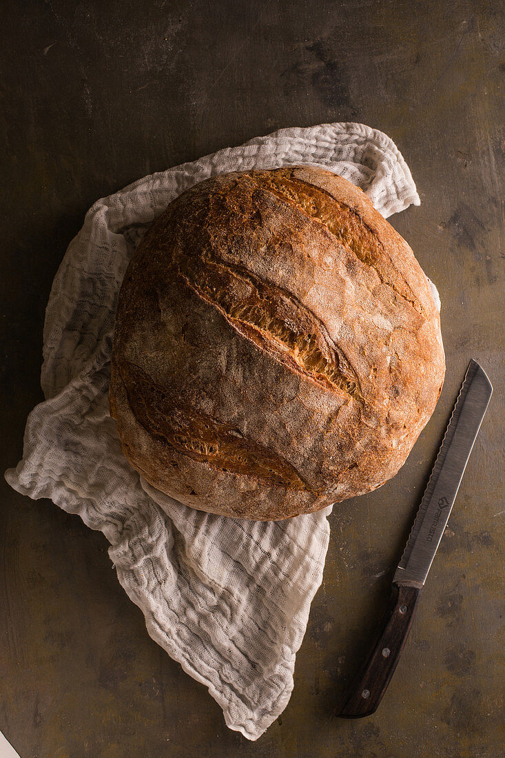 Freshly baked bread on dark background