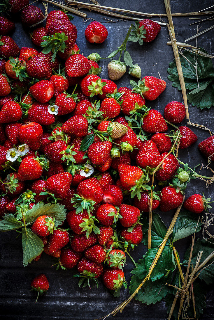 Frisch gepflückte Erdbeeren (Aufsicht)