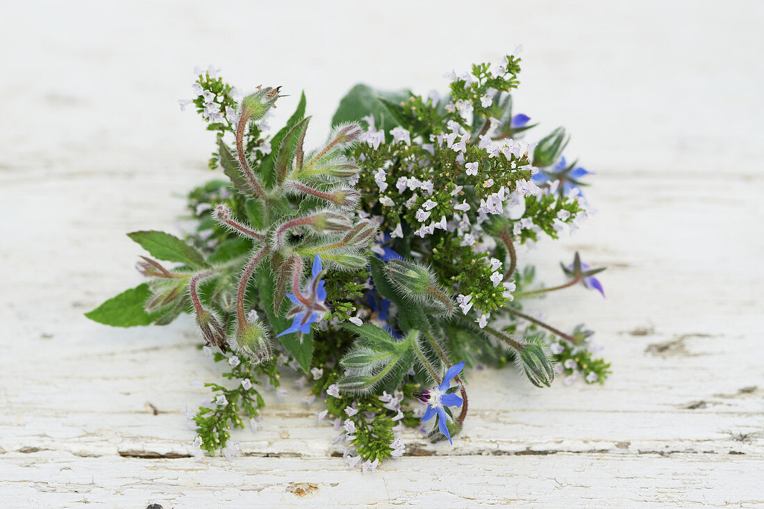 A bunch of calamint and borage on a wooden surface