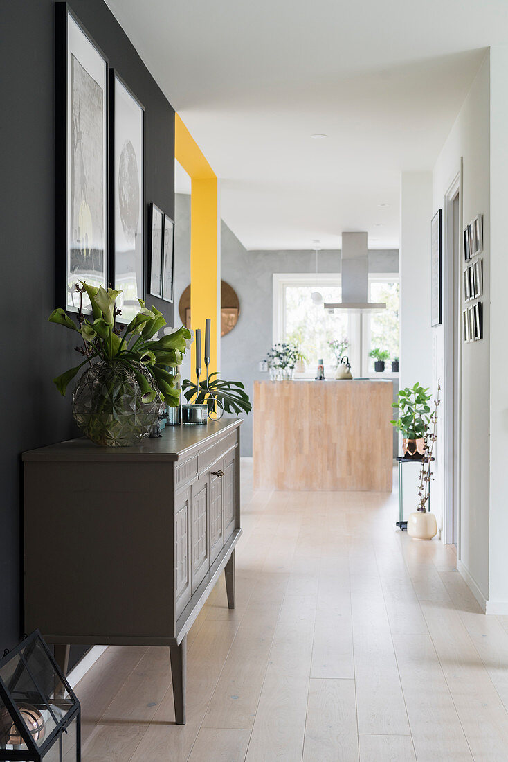 Houseplants on sideboard in hallway area of open-plan interior