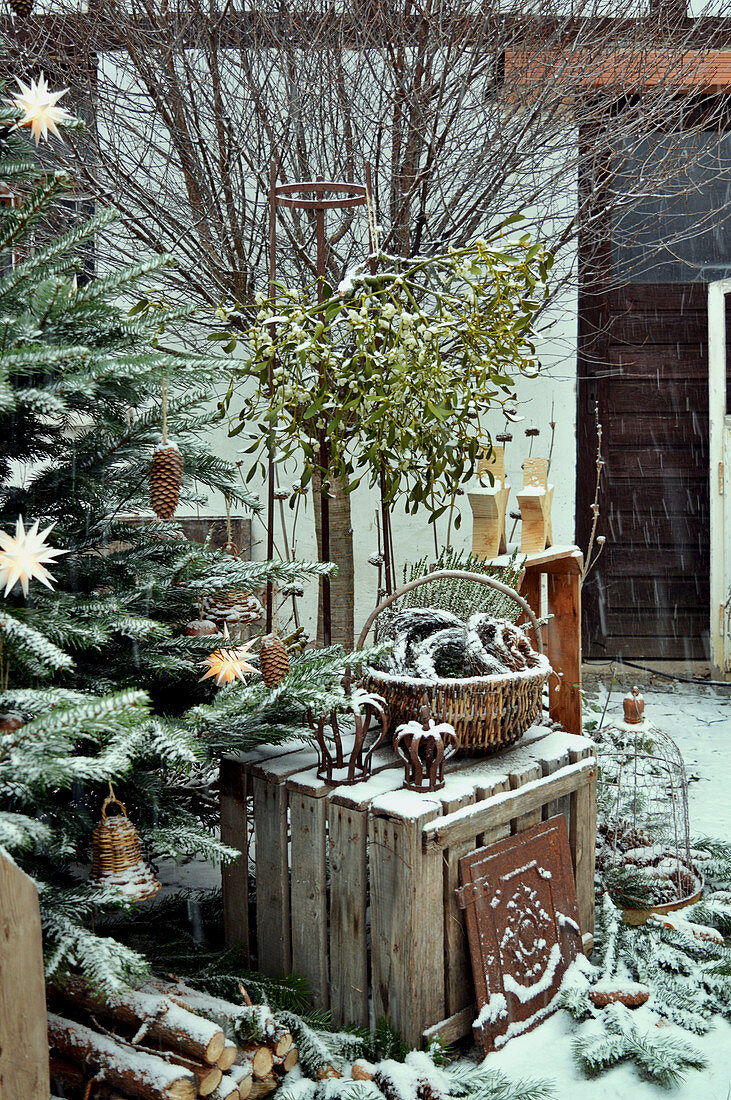 Christmas Decoration With Fir-Tree And Mistletoes