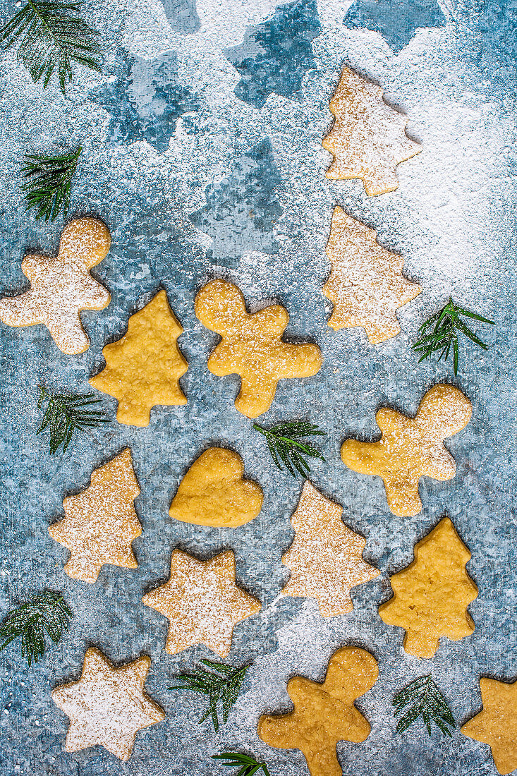 Butter shortbread biscuits with icing sugar, view from above