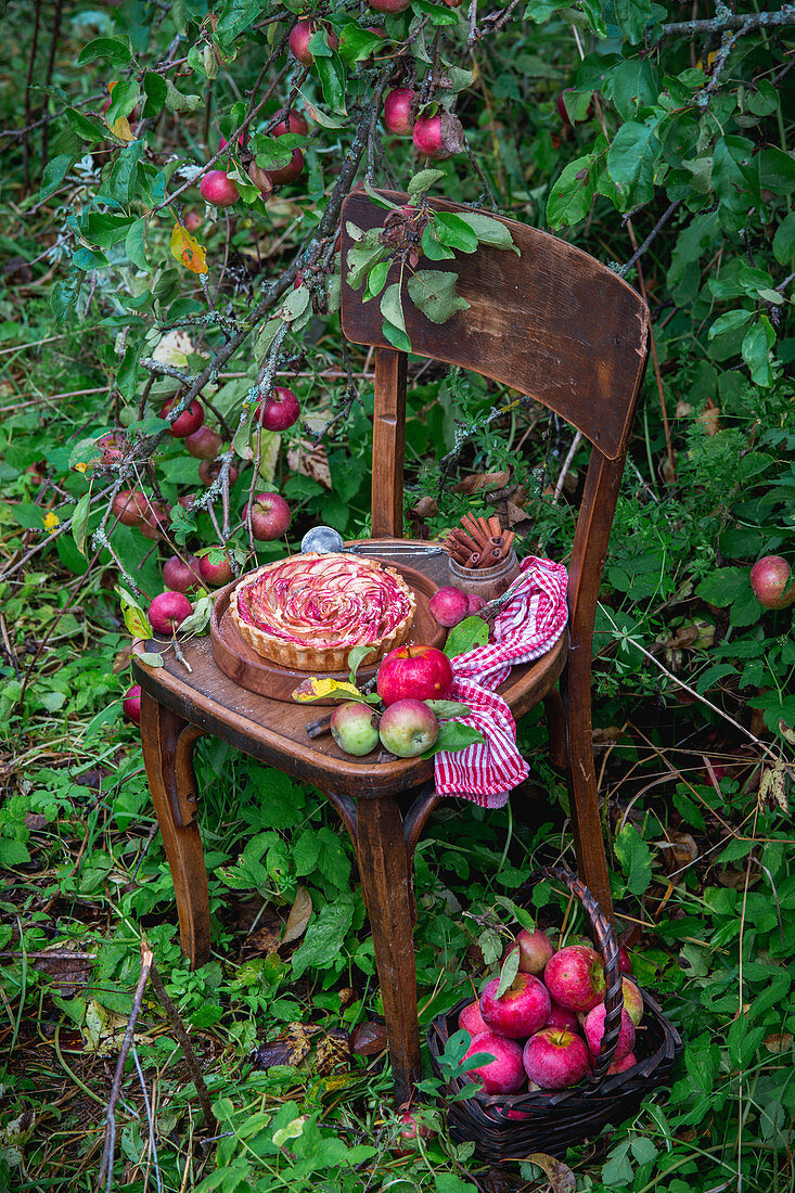 Apple rose tart on wooden chair in garden