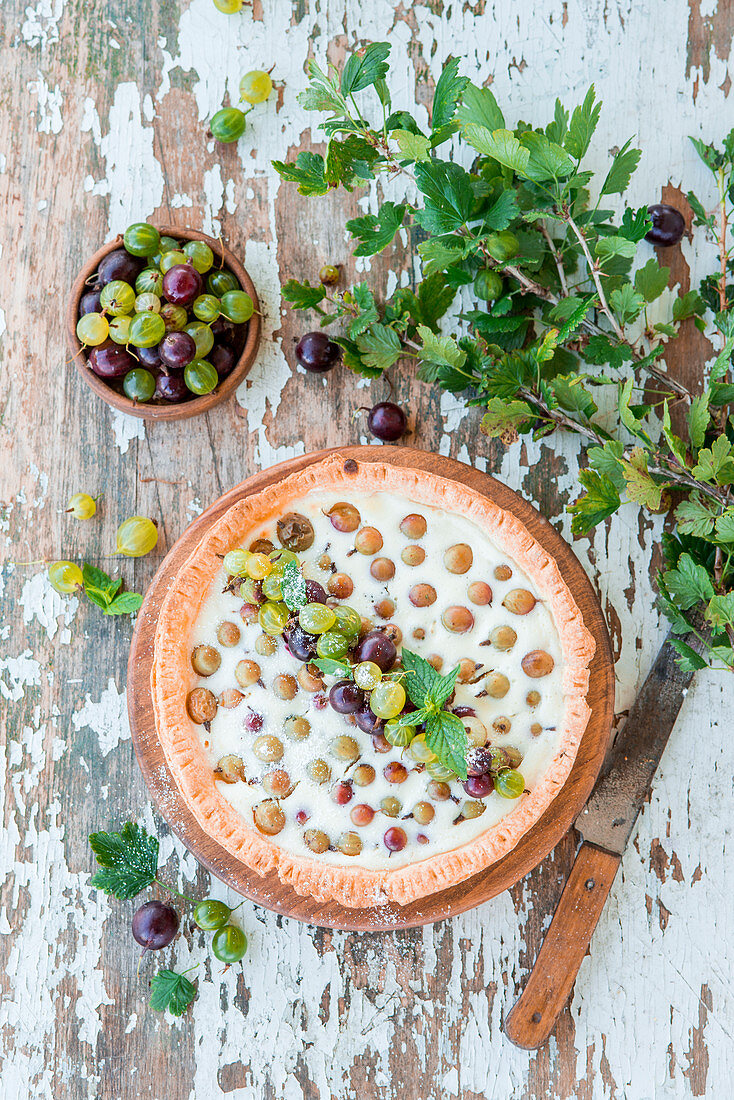 Gooseberry pie with quark filling