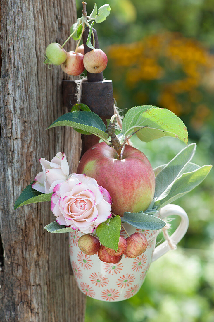 Tasse mit Apfel, Zieräpfeln und Rosenblüten an Pfosten aufgehängt