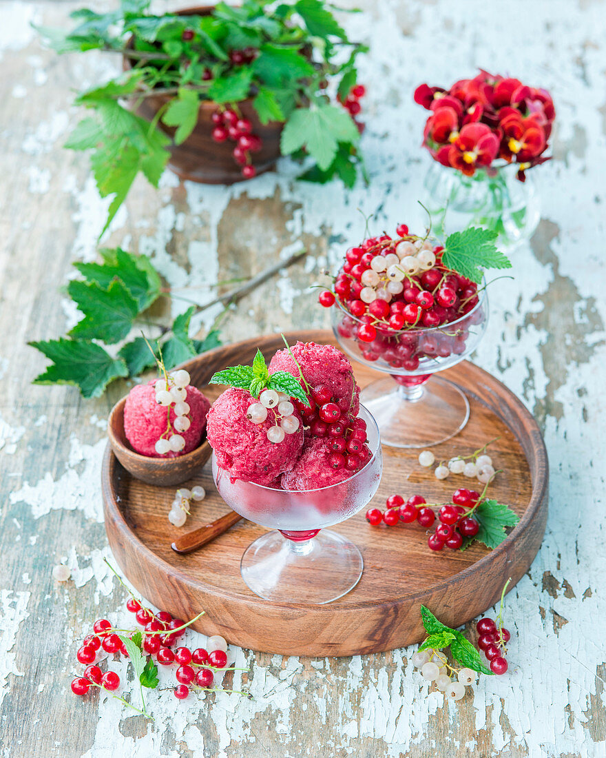 Currant sorbet