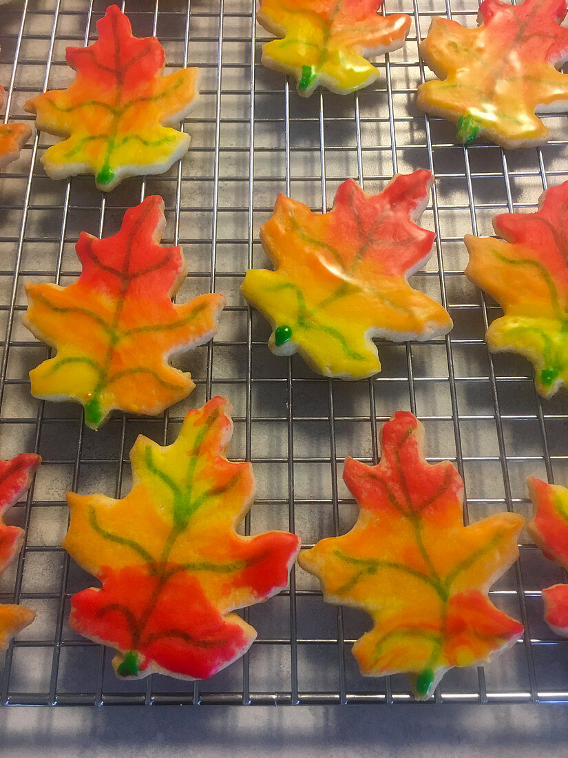 Eichenblattförmige Zuckerplätzchen in Herbstfarben