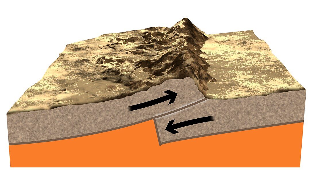 Convergent tectonic plate boundary, illustration