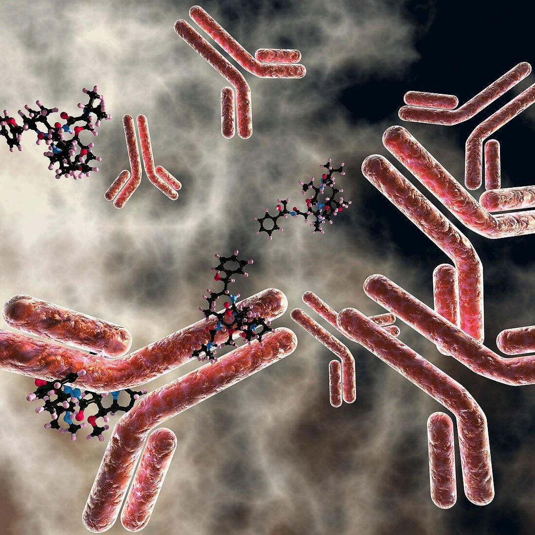 Antibody-drug conjugates, illustration