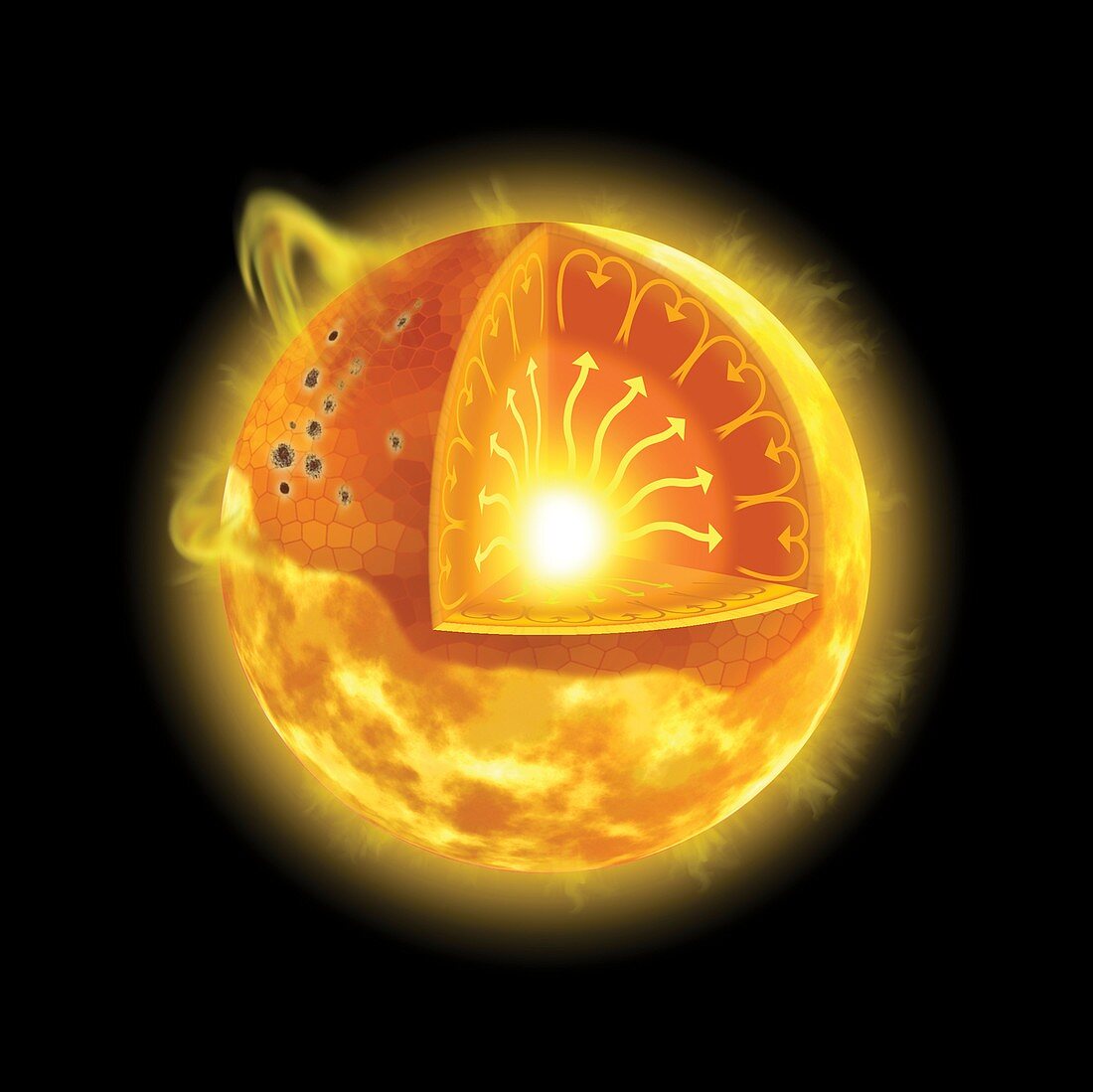Internal and surface structure of the Sun, illustration