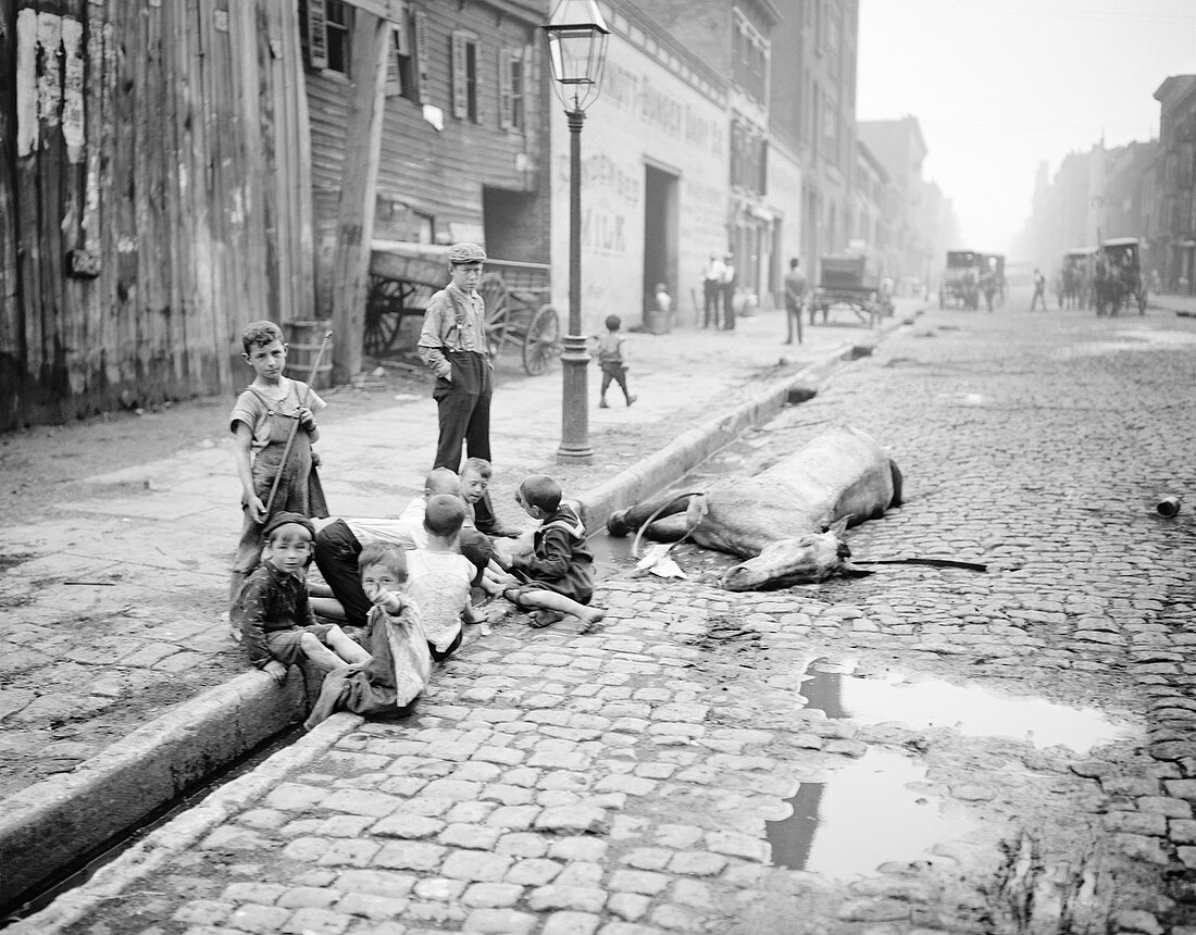 Children and dead horse, New York, USA