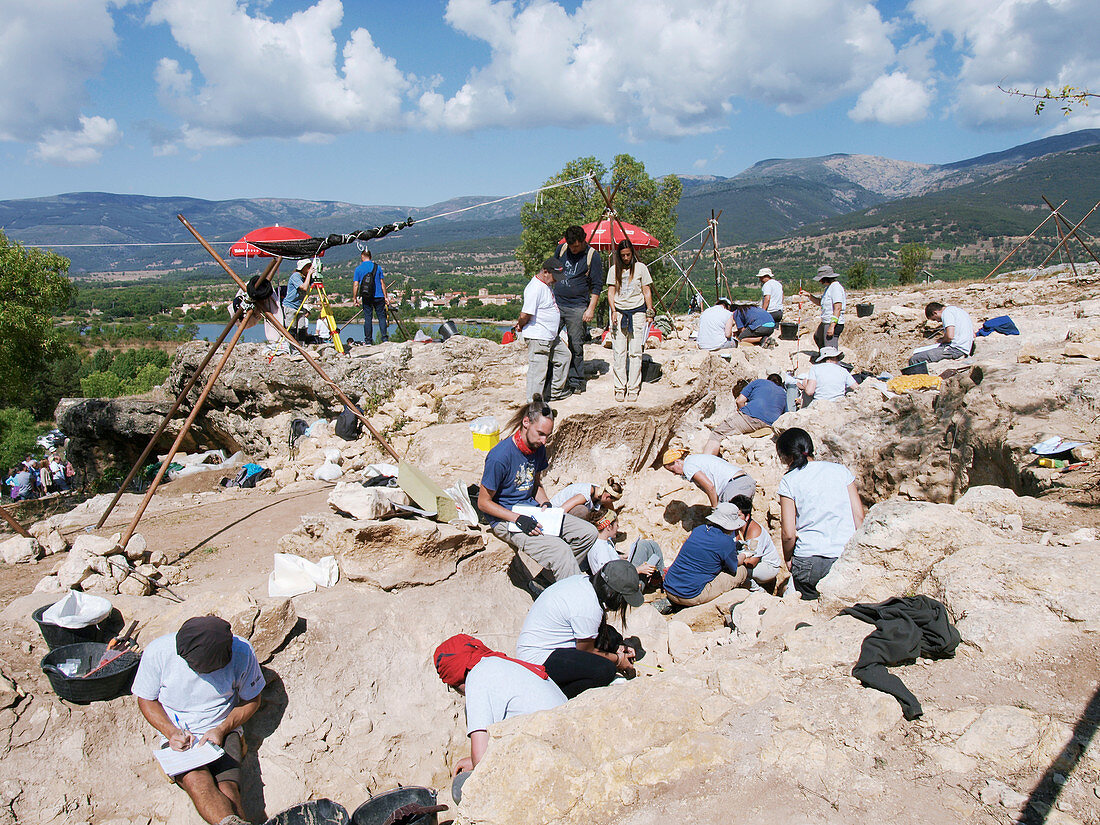 Neanderthal excavation, Pinilla del Valle