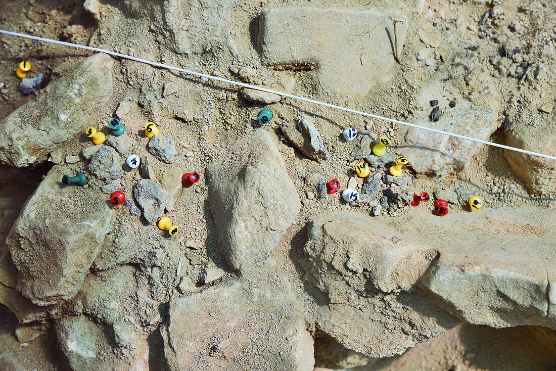 Numbering at Neanderthal excavation site