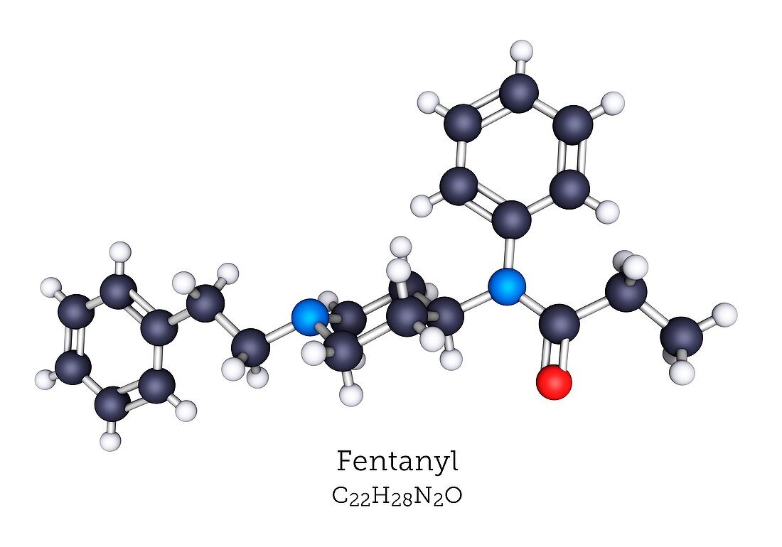 Fentanyl opioid drug, molecular model