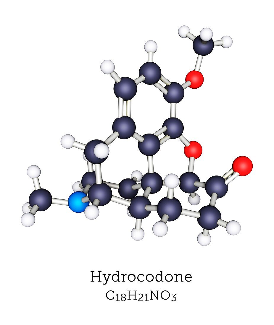 Hydrocodone opioid drug, molecular model