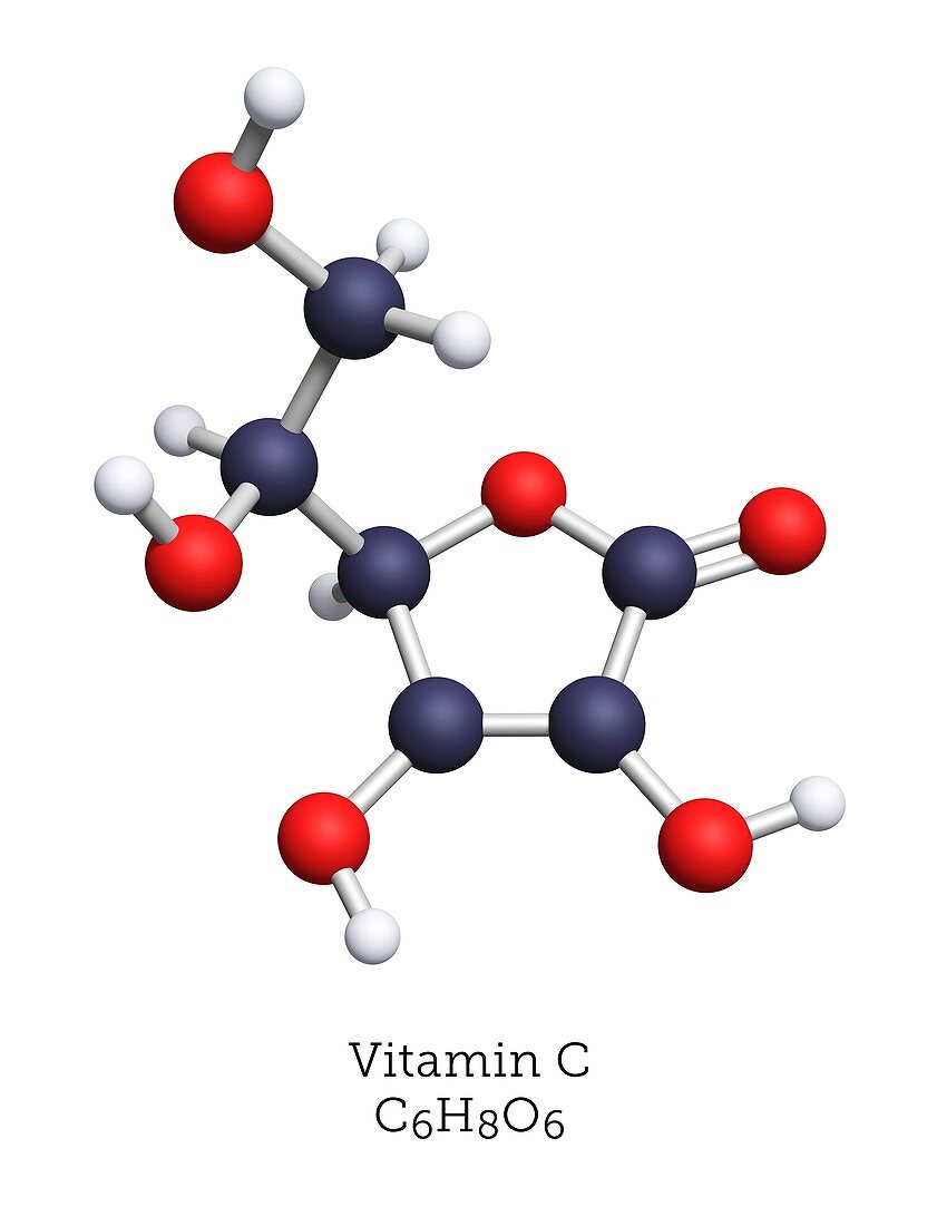 Molecular model of vitamin C