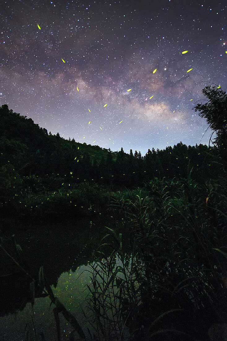 Fireflies and Milky Way, time-exposure image