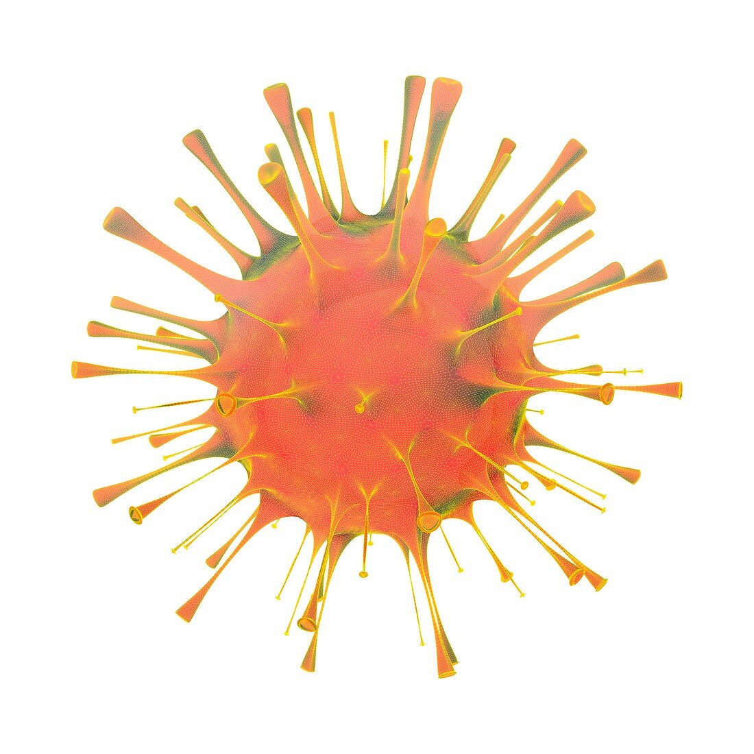 Orthomyxovirus, illustration