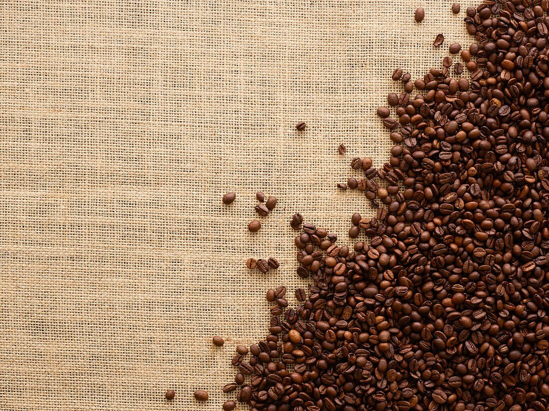Coffee beans against a brown background