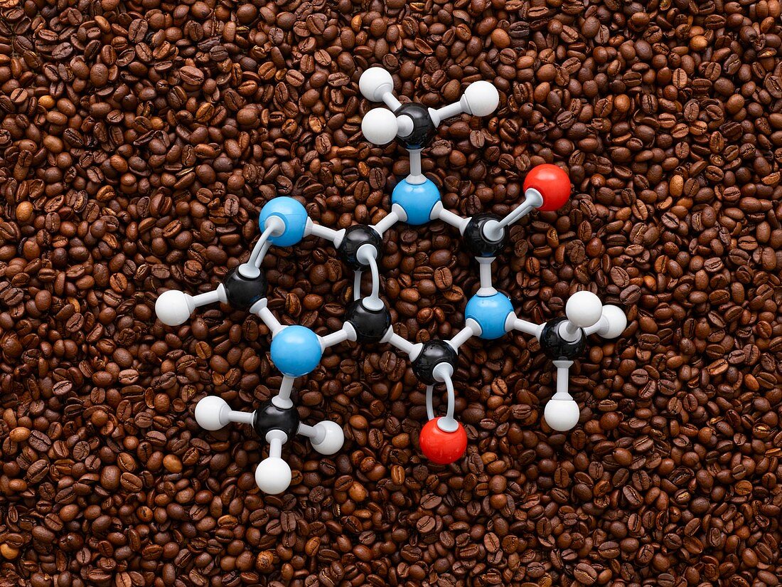 Coffee beans and molecular model