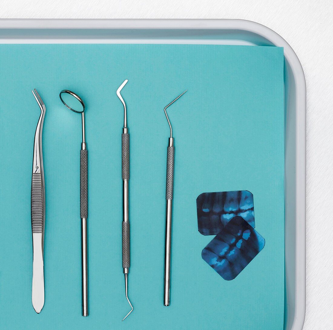 Dental equipment in a tray