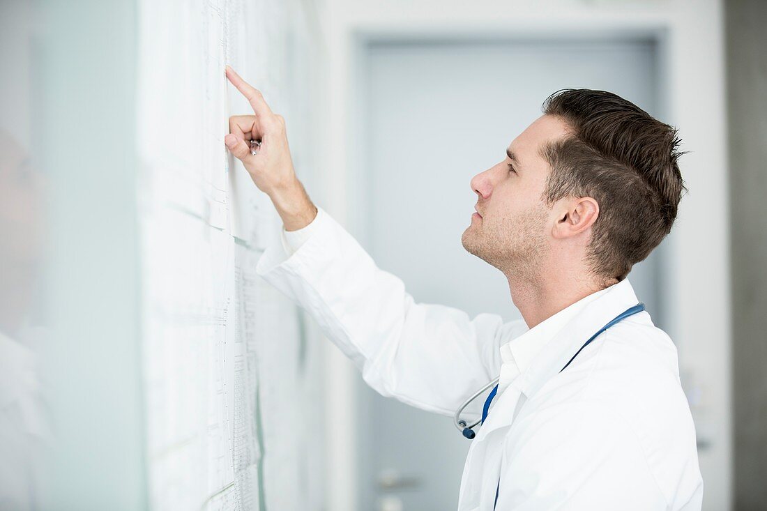 Mature male doctor inspecting white board