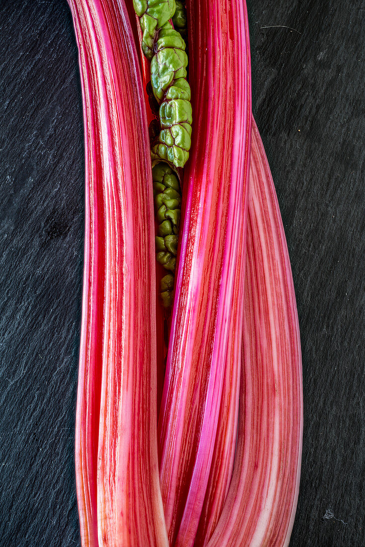 Pink chard stems (close-up)