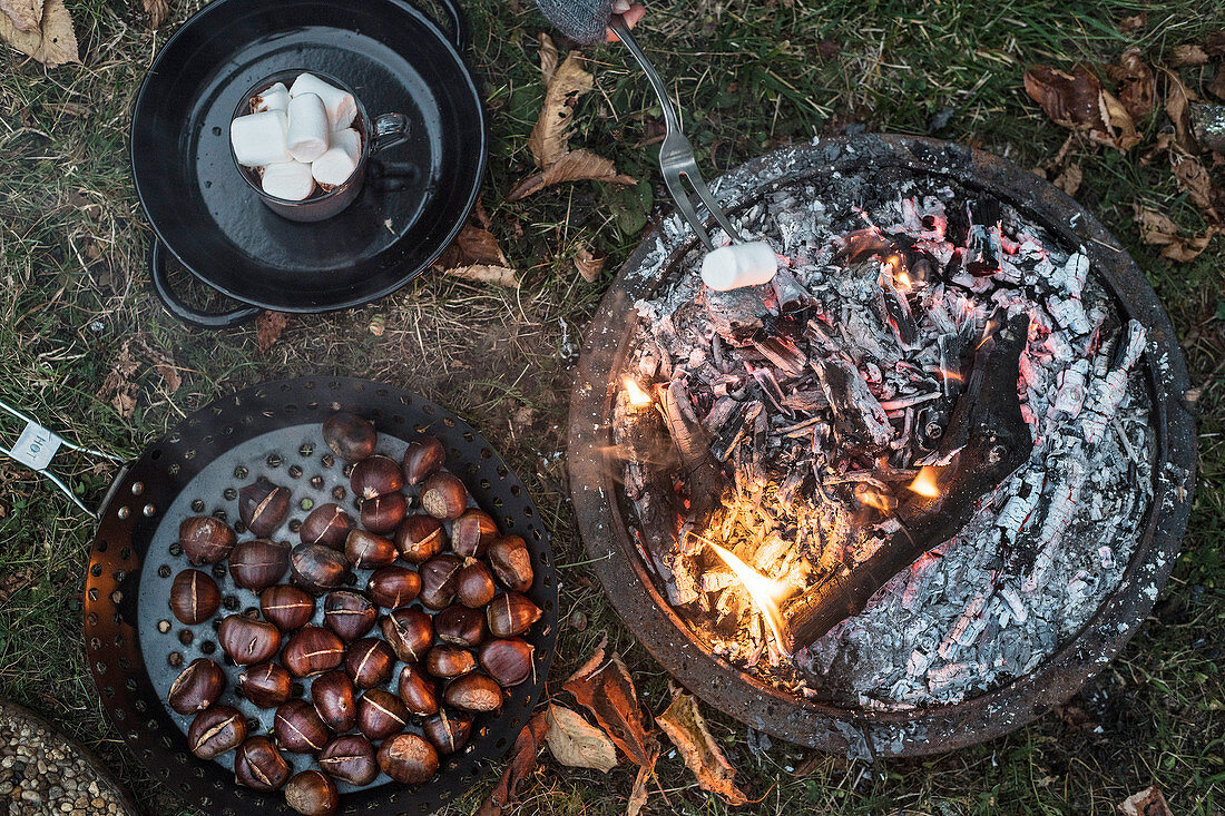 Geröstete Kastanien und Marshmallows am herbstlichen Lagerfeuer