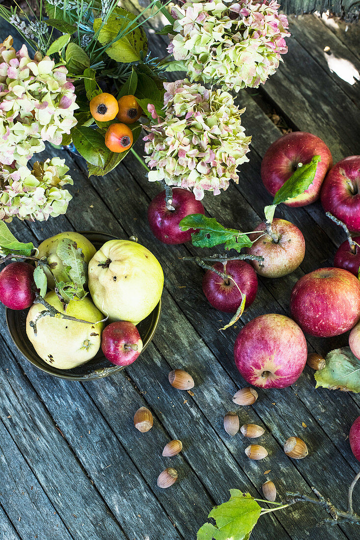 Herbstliches Stillleben mit Äpfeln, Quitten, Nüssen und Blüten (Aufsicht)