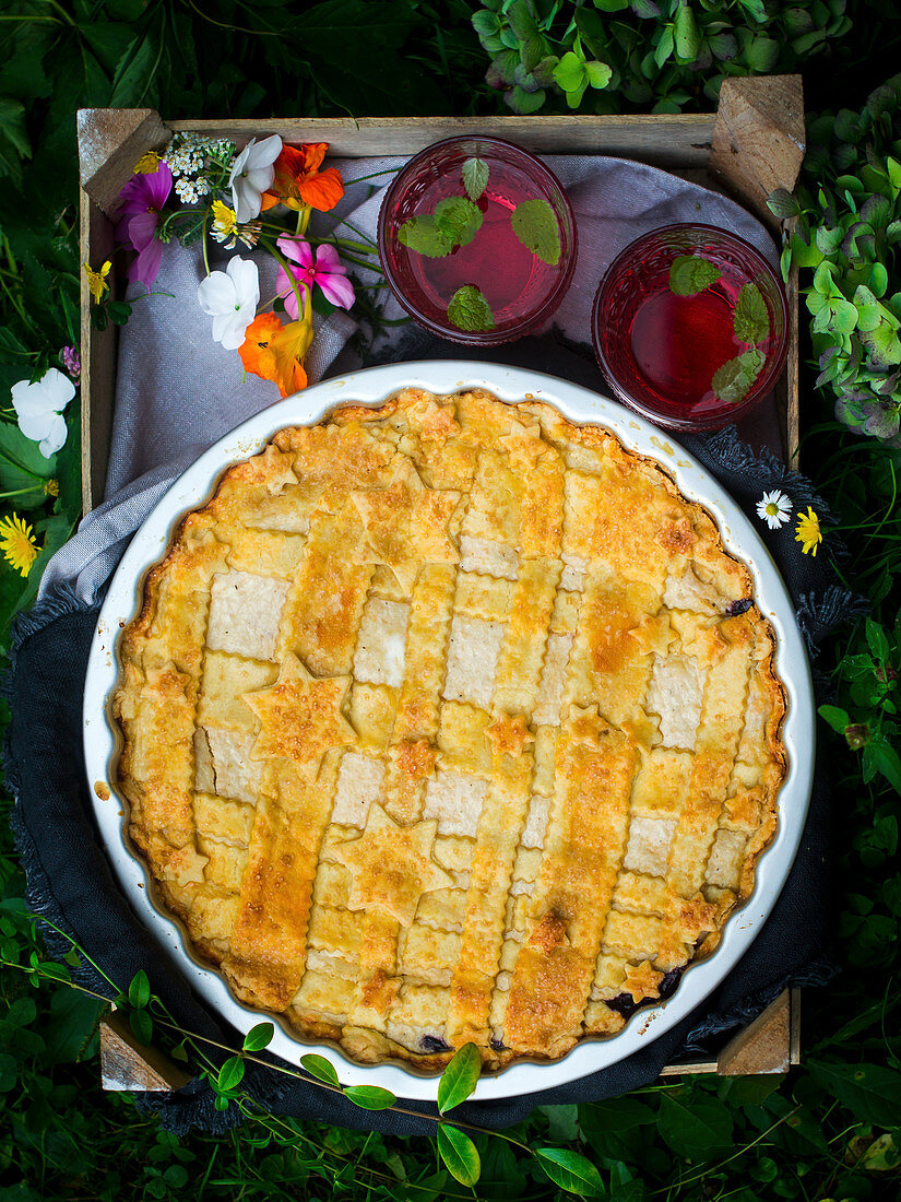 Blueberry pie with goat's cream cheese for a picnic