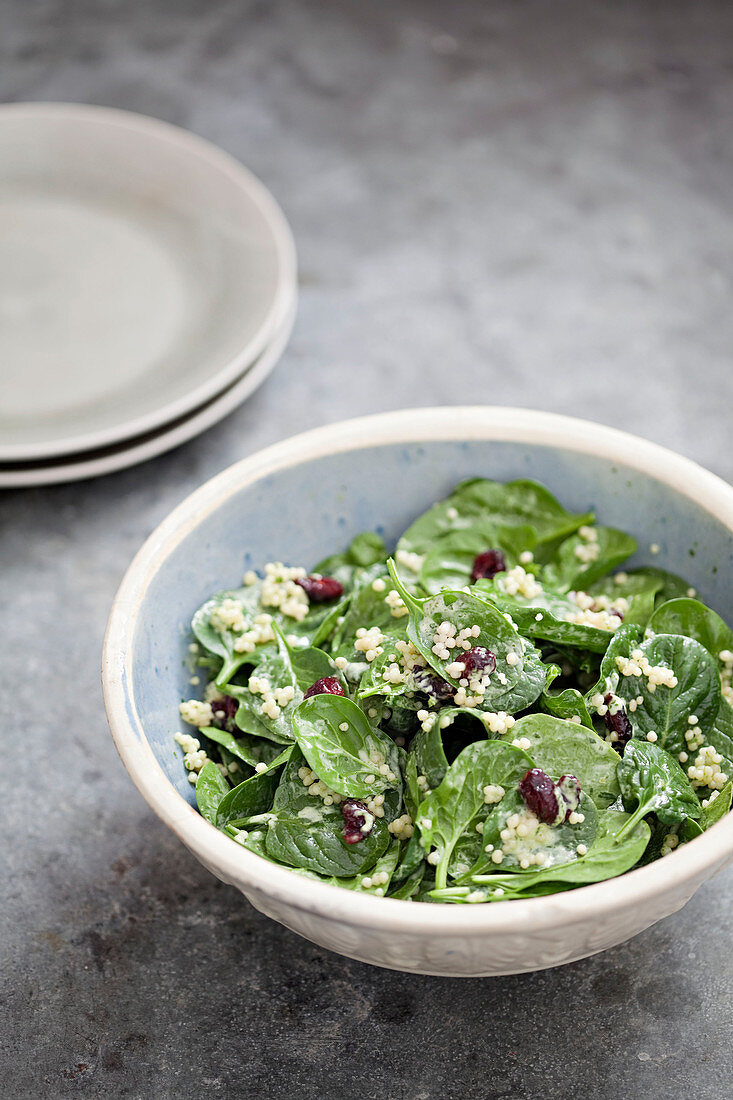 Spinatsalat mit Quinoa und Cranberries