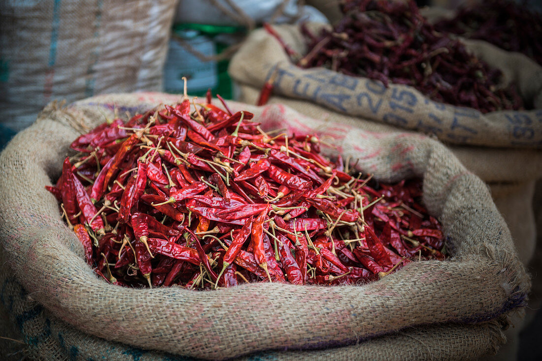 Chilis zum Verkauf auf einem Gewürzmarkt in Fort Kochi (Cochin), Kerala, Indien